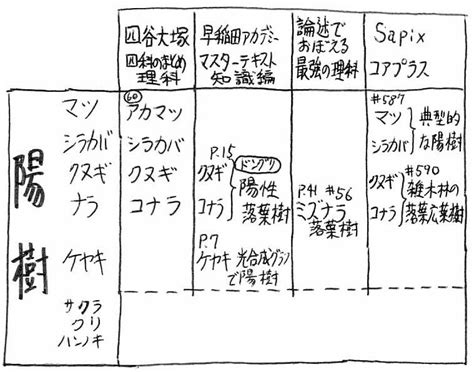 陰樹 種類|陰樹と陽樹の違いと代表的な樹木 